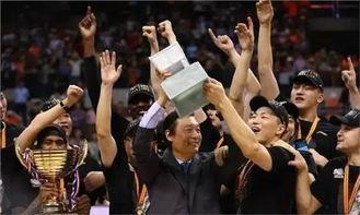 广汇男篮爆料最新消息,赛季关键动态及内部消息大揭秘  第2张